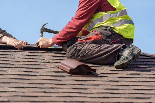 Best Gutter Installation and Roofing  in North Shore, VA