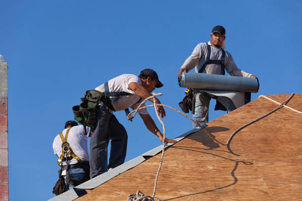 Roof Installation Near Me in North Shore, VA