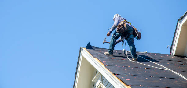 Best Roof Restoration Services  in North Shore, VA